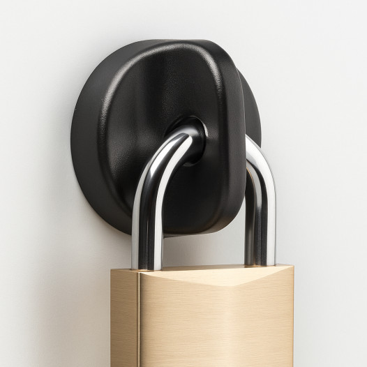 Sicherheitsverschluss für Vorhängeschloss STRONG